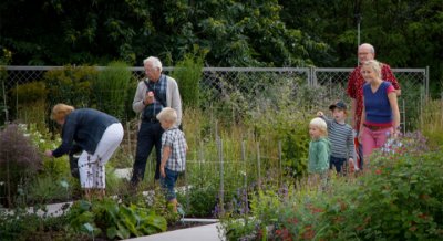 Familierundvisning i Botanisk Have: Spiselige planter